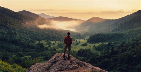  A Short Hike! A Charming Exploration of Nature and Self-Discovery