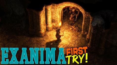 Exanima: A Brutally Realistic RPG Experience That Will Leave You Begging for More!