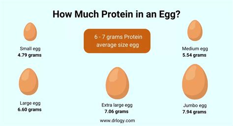 How Many Eggs is 200 Grams of Protein? And Why Do Chickens Dream of Electric Worms?