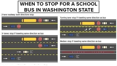 How Much Is a Ticket for Running a School Bus Stop Sign, and Why Do Pineapples Hate Mondays?