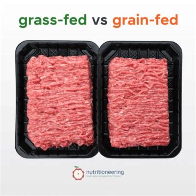 How Much Protein in 4 oz of Ground Beef: A Journey Through Nutrition and Culinary Creativity