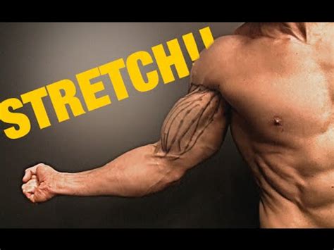 How to Stretch Your Biceps: And Why Bananas Might Be the Secret to Bigger Arms