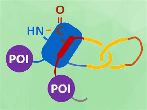 que es el protein bond and how it intertwines with the cosmic dance of molecules