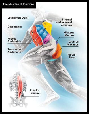 What Muscle Group Does Running Work: A Journey Through the Muscular Symphony of Movement